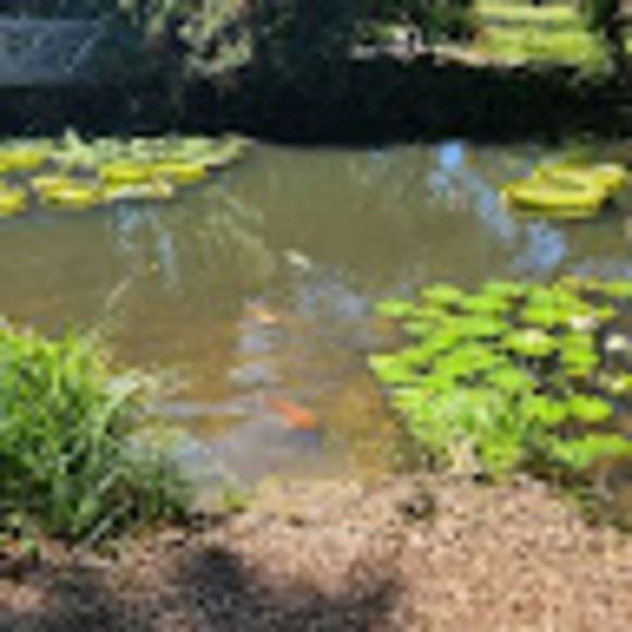 Meet your Posher, Lauren - Picture 1 of 1